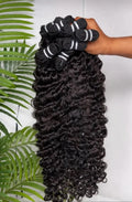 Burmese Curly